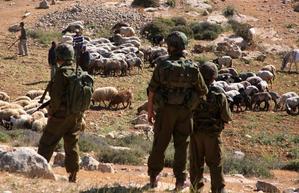 Israel is exporting its West Bank land seizure model to colonize new territory in Syria, using 140 cattle to do it